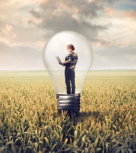 United States Food Production not Geared for a Sustainable World Image